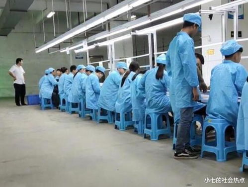 在深圳過(guò)年的別樣體驗(yàn) 技術(shù)交流合作的機(jī)遇