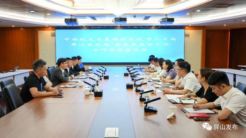 屏山縣宜發展集團與中國航發北京石墨烯技術研究院深化技術交流合作，共繪創新發展藍圖